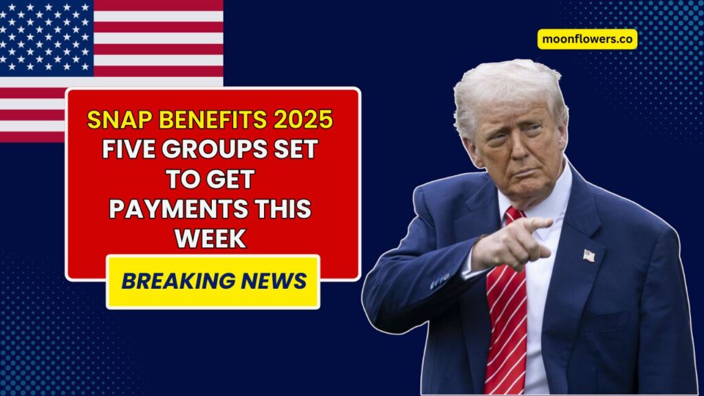 SNAP Benefits 2025 Five Groups Set to Get Payments This Week