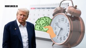 $5,000 Payment Scheduled — Money Lands in Bank Accounts Within 1 Days