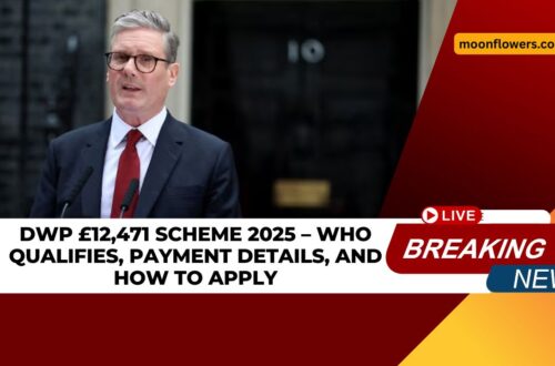DWP £12,471 Scheme 2025 – Who Qualifies, Payment Details, and How to Apply