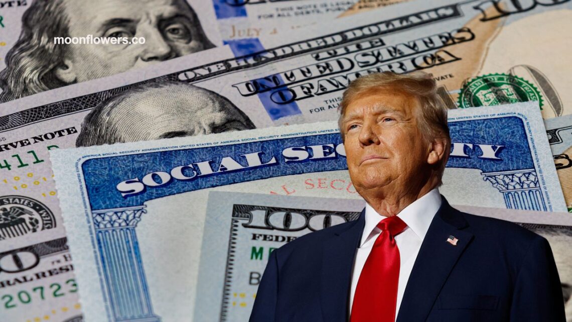 Feds Warn - The One Thing You Should Never Do With Your Social Security Card