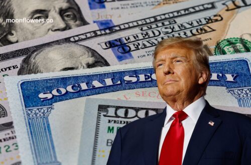 Feds Warn - The One Thing You Should Never Do With Your Social Security Card