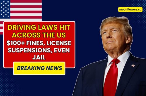 Seven New Driving Laws Just Hit Across The US – $100+ Fines, License Suspensions, Even Jail Time
