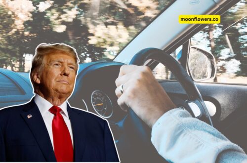 New September Driving Law - Jail Time And $1,500 Fines For School Bus Violations Across The U.S.