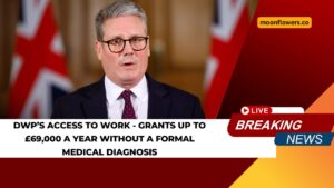 DWP’s Access To Work - Grants Up To £69,000 A Year without A Formal Medical Diagnosis