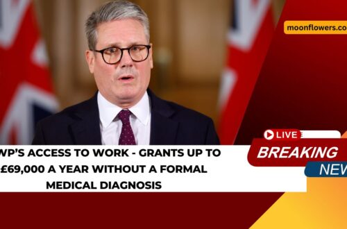 DWP’s Access To Work - Grants Up To £69,000 A Year without A Formal Medical Diagnosis