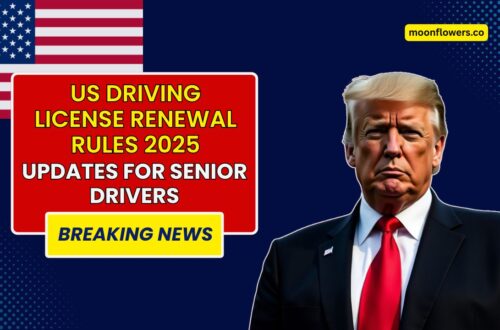 US Driving License Renewal Rules 2025 - Important Updates For Senior Drivers