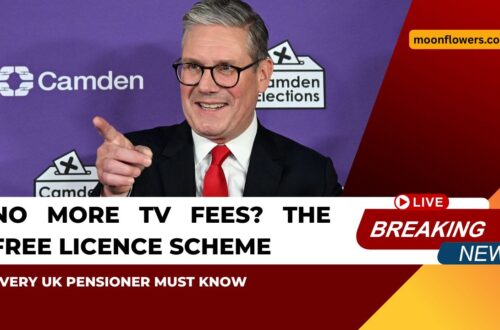No More TV Fees The Free Licence Scheme Every UK Pensioner Must Know