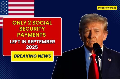 Only 2 Social Security Payments Left In September – See The Complete Schedule