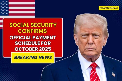 Social Security Confirms Official Payment Schedule for October 2025