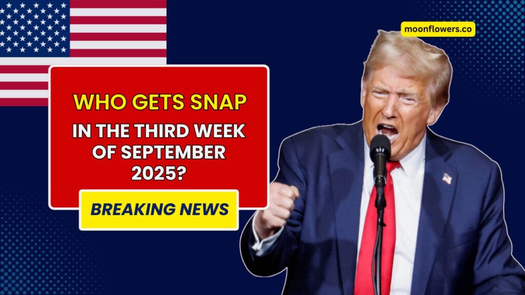 Who Gets SNAP in the Third Week of September 2025? Only These Groups Qualify