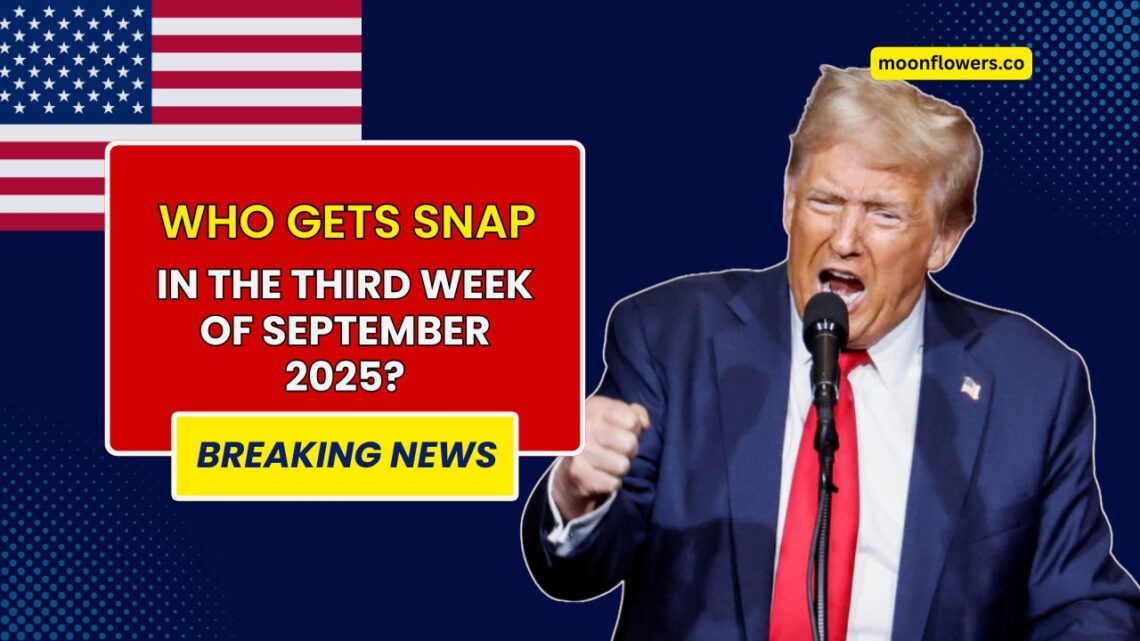 Who Gets SNAP in the Third Week of September 2025? Only These Groups Qualify
