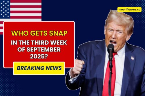 Who Gets SNAP in the Third Week of September 2025? Only These Groups Qualify